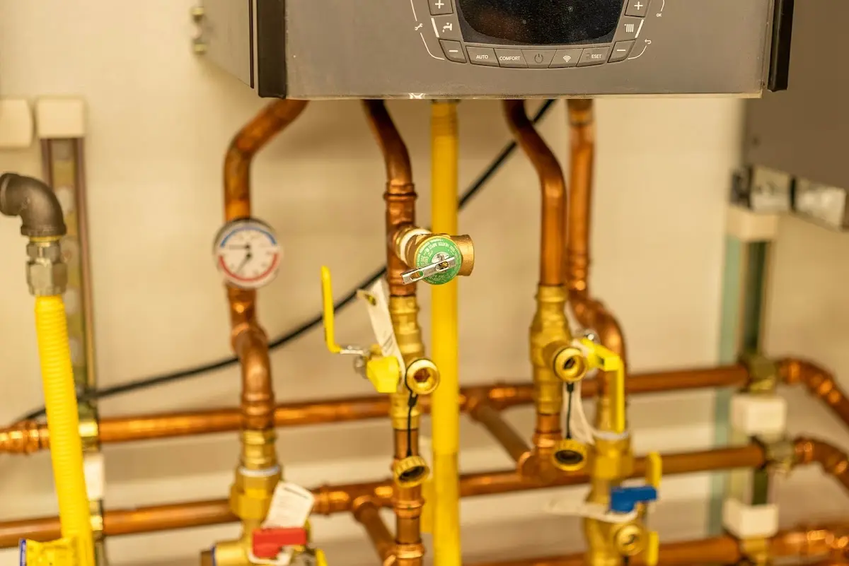 Licensed technician providing Sump Pump Repair for a homeowner in DeKalb